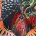 tattoo galleries/ -  - 42041
